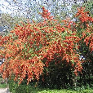 ｢国破れて山河あり　1｣