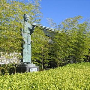 ｢まろとまろわの道｣