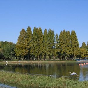 ｢平和の女神｣