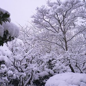 ｢大雪｣