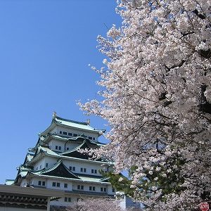 ｢花鳥風月展｣