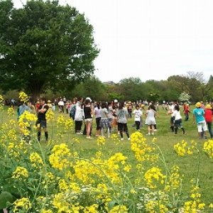 「新緑の緑地公園｣