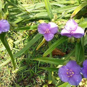 「智徳先生研修講４週入り｣