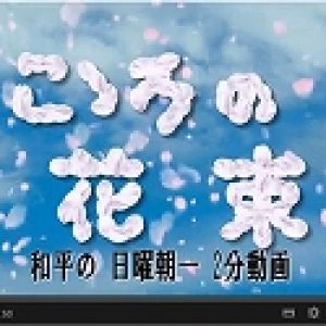 「天意UP!　こゝろの花束｣