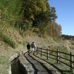 「富士の竜氣　大滝の小川」