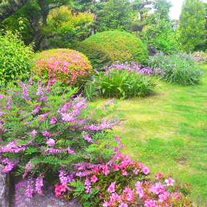 「お花よ　ありがとう」