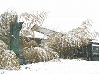 本社に積もった雪s-